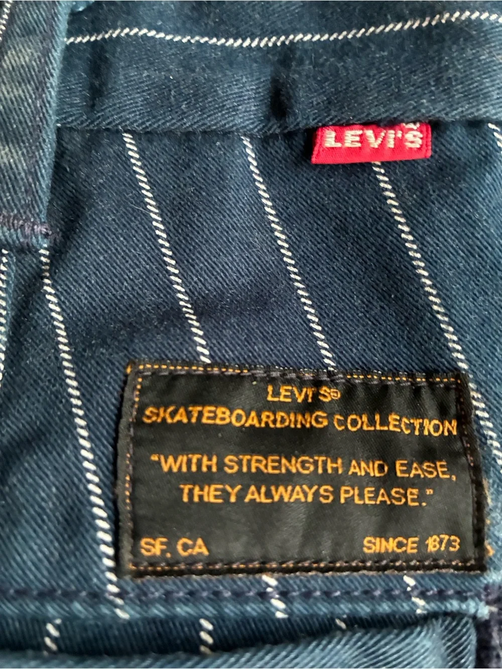 Men's Navy Pinstripe Skateboarding